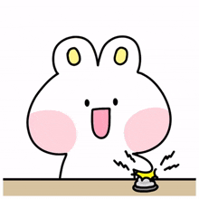 rabbit bunny cute joke gag