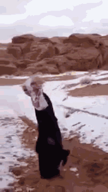 When It Snows In Saudi Arabia GIF - Saudi Arabia Snow GIFs
