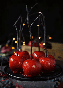 candy apple food yum delicious
