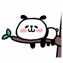 animal panda cute nap lazy animal panda cute nap lazy