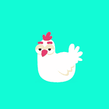 chicken angry