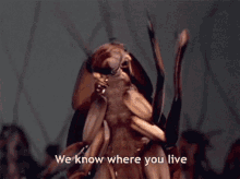 we know where you live cockroach i know your location we know where you live cockroach i know your location