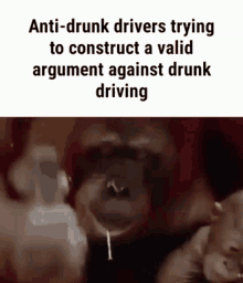 Drunk Driving GIF - Drunk Driving Monkey GIFs