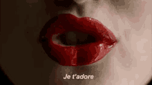 Je T'Adore GIF - Jetaime Jtm Amour GIFs