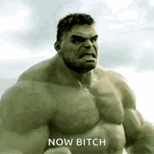 Hulk Roar GIF - Hulk Roar Angry GIFs