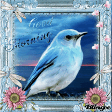 Good Morning Bird GIF - Good Morning Bird Blue Bird GIFs