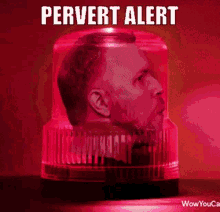 Pervert Alert GIF - Pervert Alert Zero Two GIFs