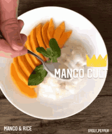 Mango Cult Mango GIF - Mango Cult Mango Aidansarmy GIFs
