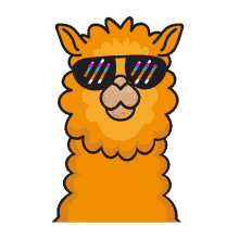 pakie la alpaca cool cute animals sunglasses omer pakie la alpaca cool cute animals sunglasses omer
