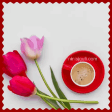 Flowers Tulips GIF - Flowers Tulips Coffee GIFs