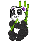 Buddyiee Panda Eating Bamboo Sticker - Buddyiee Panda Eating Bamboo Cute Stickers