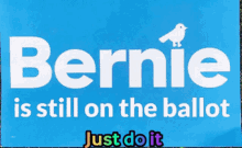 Bernie Is Still On The Ballot Just Do It GIF - Bernie Is Still On The Ballot Just Do It Vote GIFs