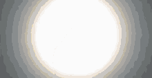 jaroslaw kaczynski jaroslawkaczynski sun moon