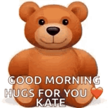 teddy hug bear hug cute good morning