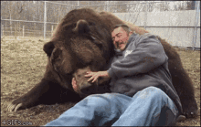 棕熊 熊抱 GIF - 棕熊 熊抱 Bear GIFs