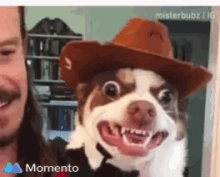 Doghat Barking GIF - Doghat Barking Scary GIFs