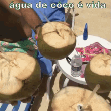 Um Brinde Com água De Côco é Vida GIF - Coconut Coconut Water GIFs