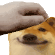 Pet The Peepo Doge Sticker - Pet The Peepo Doge Cheems Stickers