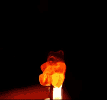 Gummy Bear Burn GIF - Gummy Bear Burn Fire GIFs