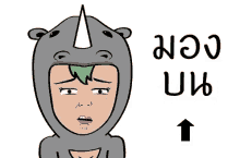 what rhino