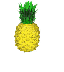 circle pineapple