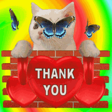 Thank You Thank You Kitten GIF - Thank You Thank You Kitten Thank You Butterflies GIFs