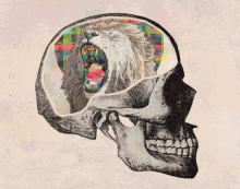 mindblown skull trippy