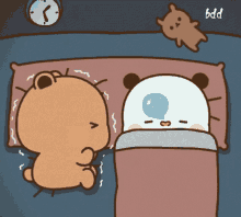 panda kawaii couple cold sleep