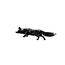 running apple fox malaysia apple fox cider heineken sprinting