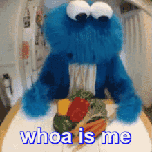 Whoa Is Me Cookie Monster GIF - Whoa Is Me Cookie Monster Dieting GIFs