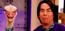 Icarly Ostrich GIF - Icarly Ostrich Lord Help Me GIFs