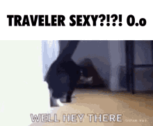 Traveler Catsoda GIF - Traveler Catsoda GIFs