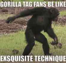 Gorilla Tag GIF - Gorilla Tag Vr GIFs