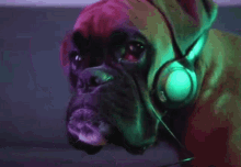 dog headphones realization