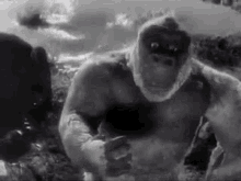 King Kong Son Of Kong GIF - King Kong Son Of Kong Kiko GIFs
