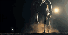Trot Trot GIF - Horse Horses Equine GIFs