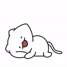 cat cute white broad lovely cat cute white broad lovely
