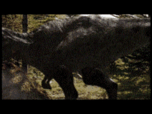 Tyrannosaurus Rex Roaring GIF - Tyrannosaurus Rex Roaring Jurassic Park GIFs