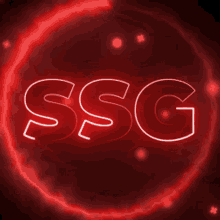 Ssg GIF - Ssg GIFs