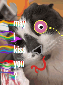 Catkiss Conch Kiss GIF - Catkiss Conch Kiss May I Kiss GIFs