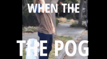 When The Pog GIF - When The Pog Pog Champ GIFs