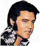 Wink Elvis Sticker - Wink Elvis Elvis Presley Stickers