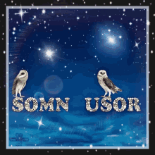 somn usor