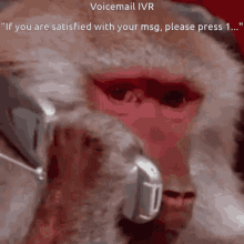 Voicemail GIF - Voicemail GIFs