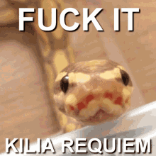 Fuck It Kilia Requiem GIF - Fuck It Kilia Requiem Snake GIFs