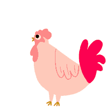 chicken confuse rooster hen cute