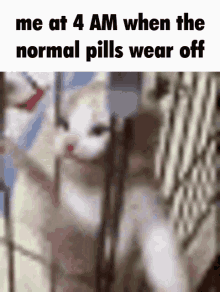 Normal Pills Dream GIF - Normal Pills Dream Dreamwastaken GIFs