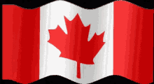 Canada Maple Leaf GIF - Canada Maple Leaf Flag GIFs