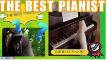 Dogs Play Piano GIF - Dogs Play Piano Memes Giggle GIFs