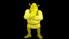 Golden Shrek Daiken GIF - Golden Shrek Daiken Golden Shrek GIFs